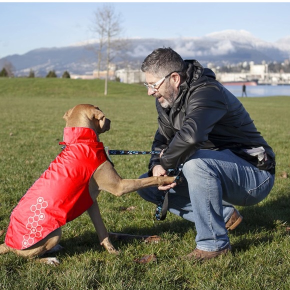 RC Venture Shell Water Resistant Dog Jacket 22 - Picture 3 of 3